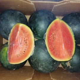 Wassermelonen im Weltladen zum Sonderpreis
